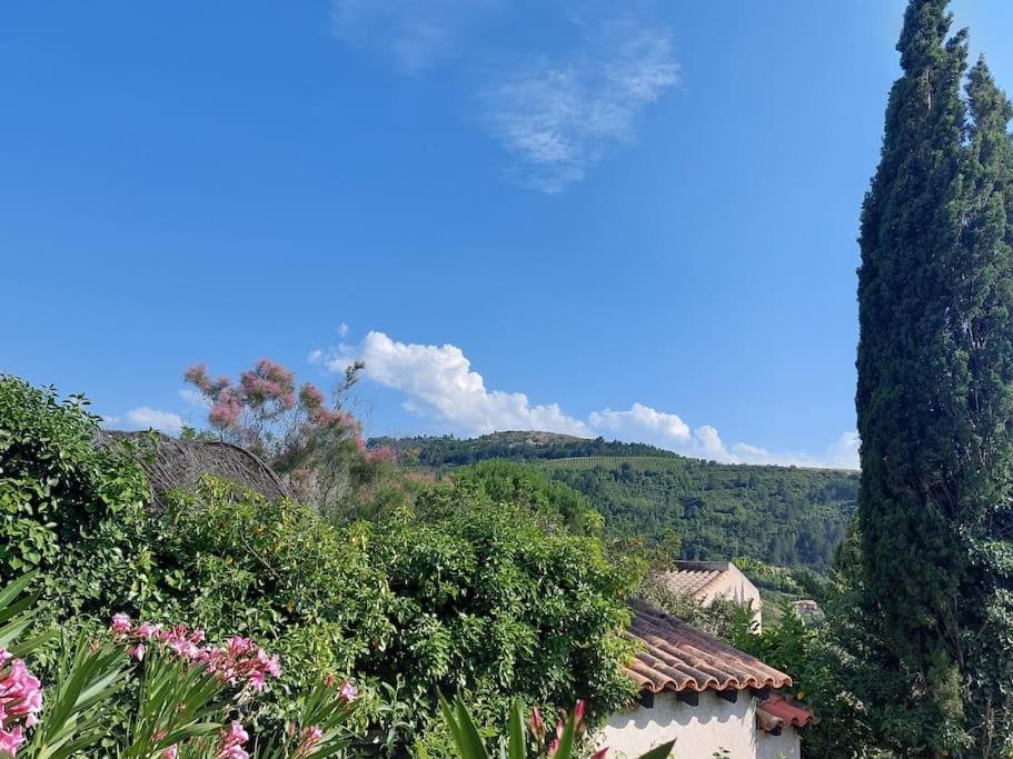 Vue De Rennes-Le-Chateau Couiza Ngoại thất bức ảnh