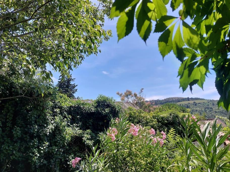 Vue De Rennes-Le-Chateau Couiza Ngoại thất bức ảnh